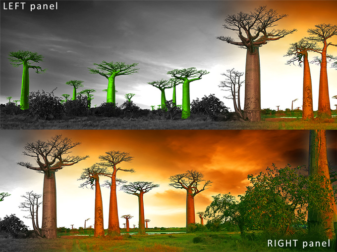 SHOPFITTING & STORE SIGNAGE